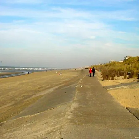 In Near Belgium Pier *