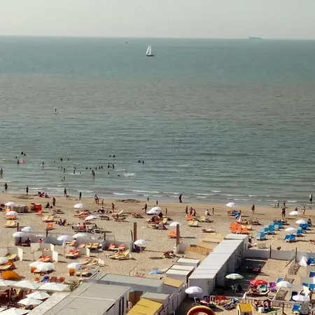 In Near Belgium Pier Blankenberge