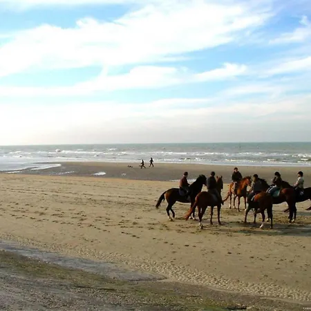 公寓 In Near Belgium Pier *